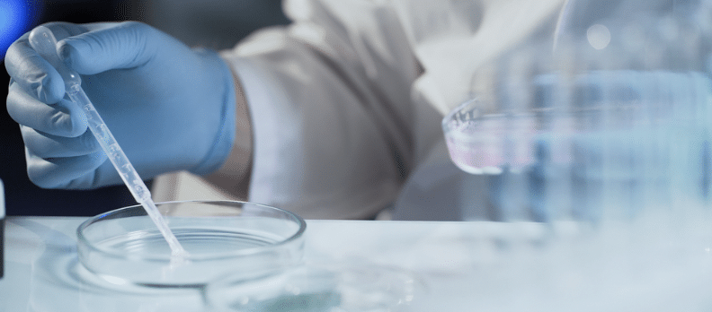Gloves hands using pipette on petri dish